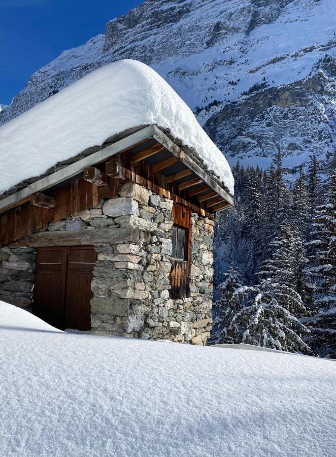 Hotel L'Edelweiss Pralognan-la-Vanoise Zewnętrze zdjęcie