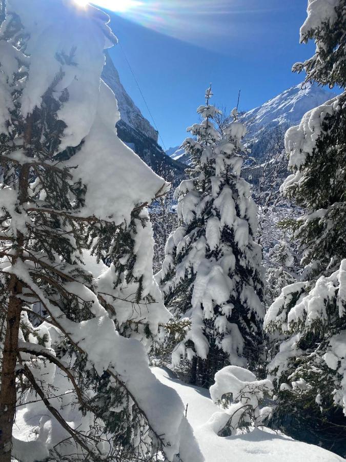 Hotel L'Edelweiss Pralognan-la-Vanoise Zewnętrze zdjęcie