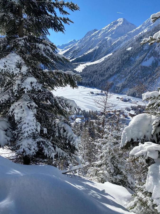 Hotel L'Edelweiss Pralognan-la-Vanoise Zewnętrze zdjęcie
